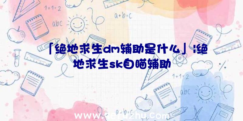 「绝地求生dm辅助是什么」|绝地求生sk自瞄辅助